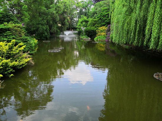 Botanischer Garten der Universität Breslau